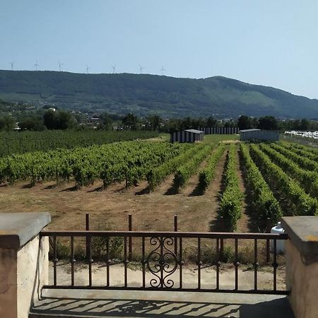 Agriturismo Il Casale Del Cavaliere SantʼAgata deʼ Goti Kültér fotó