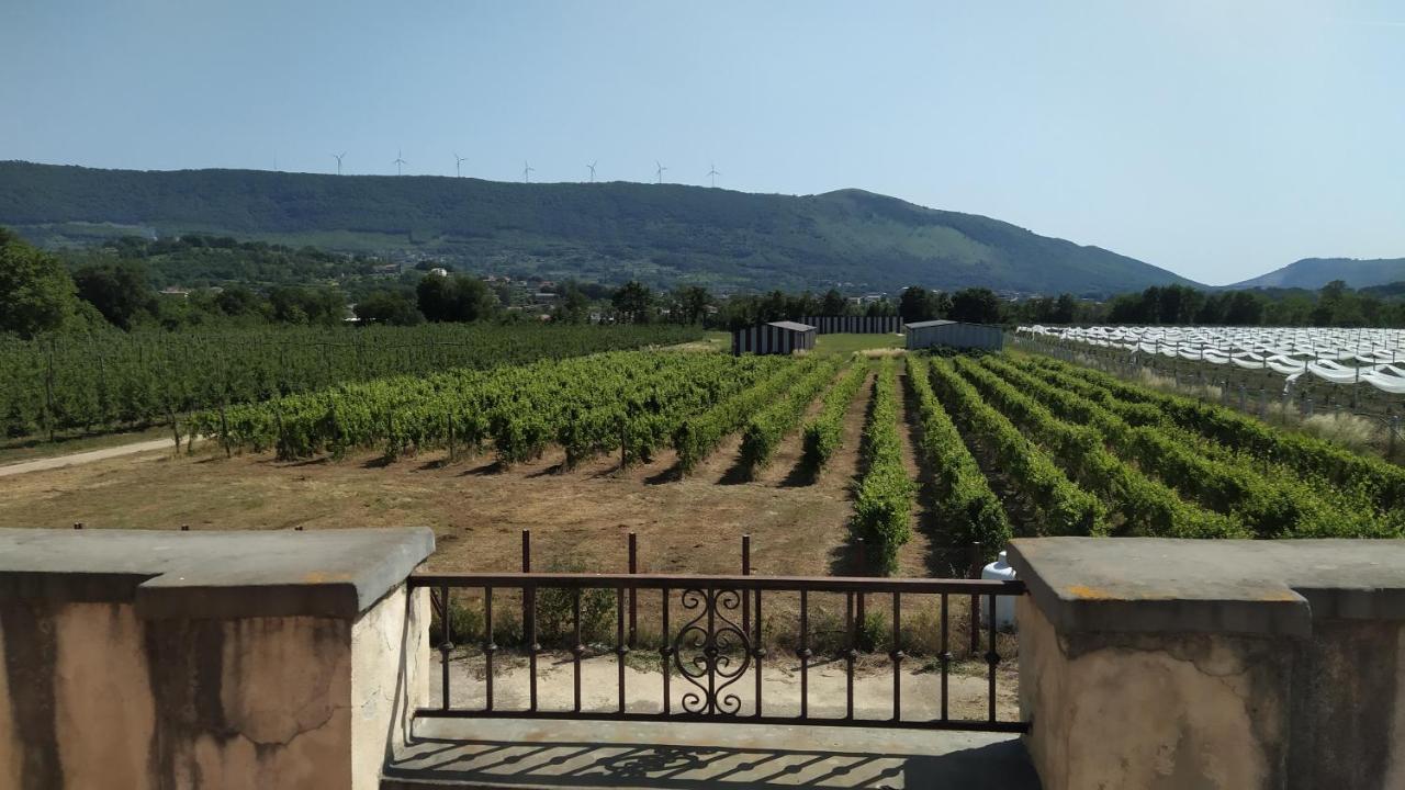 Agriturismo Il Casale Del Cavaliere SantʼAgata deʼ Goti Kültér fotó